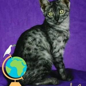 Meet your Posher, Hilary